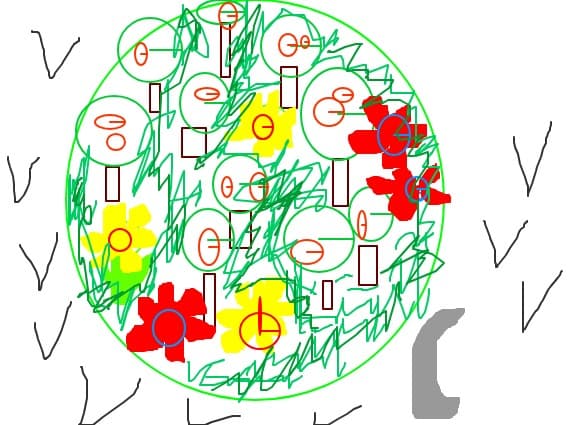 planeta vie