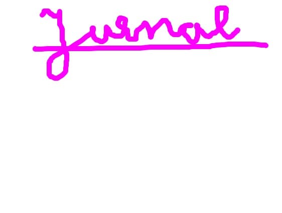 Jurnal secret
