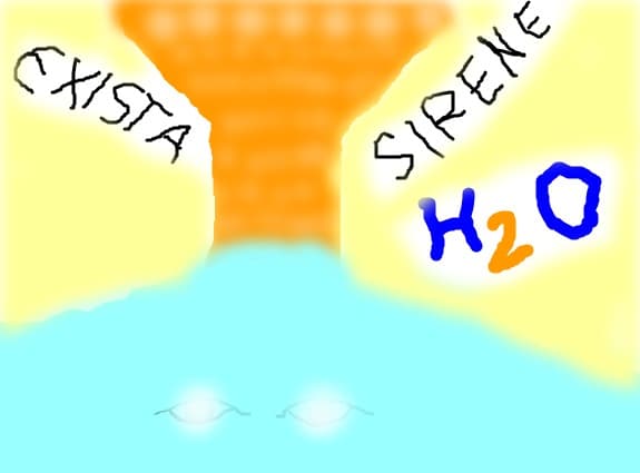 H2O