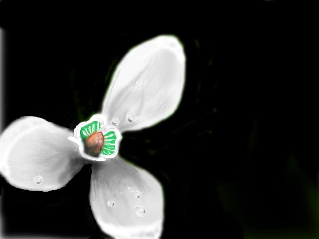 just 4 you....