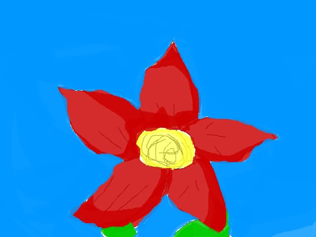 o floare