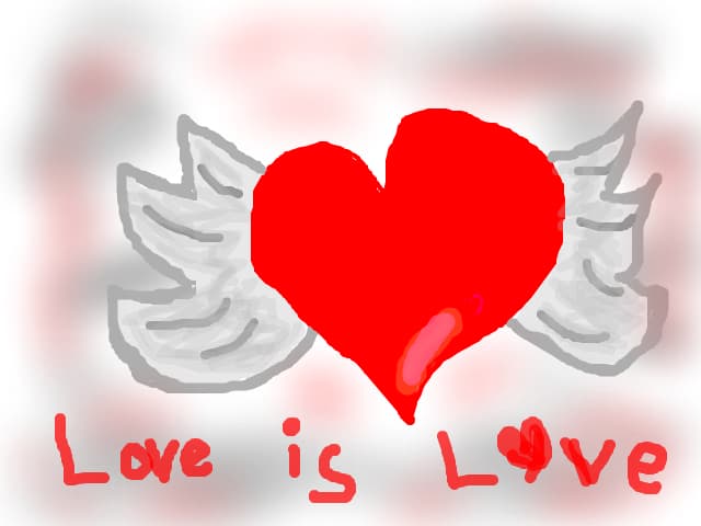 Love is Love and fly