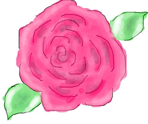 Just a...Rose:)