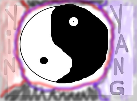 ninja Yin si Yang
