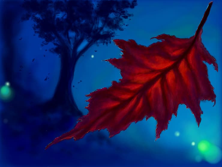Red blue autumn