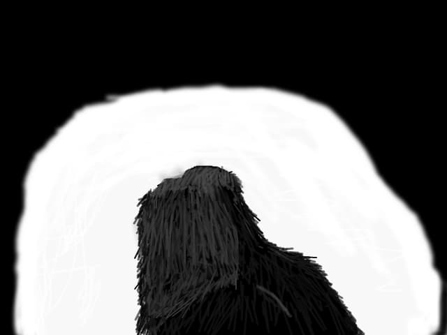 HOOOOWL!