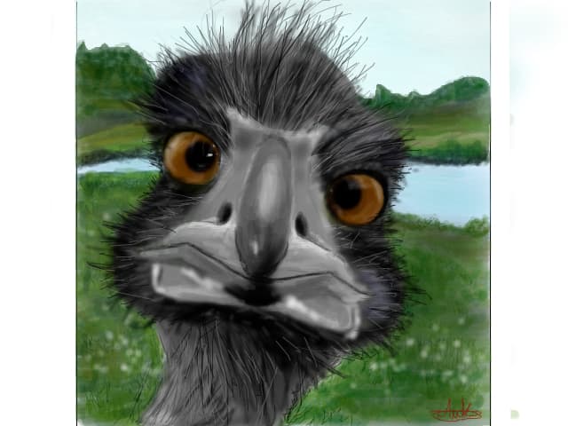 what ur looking at???