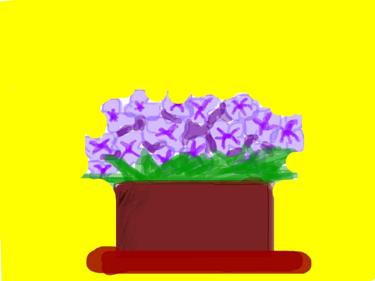 Flori
