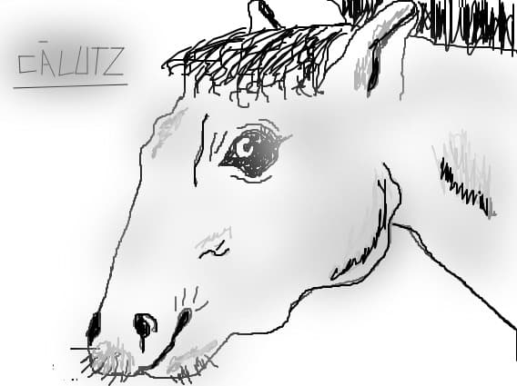 calutzul