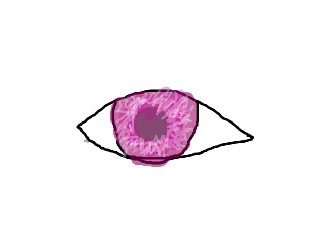 eye