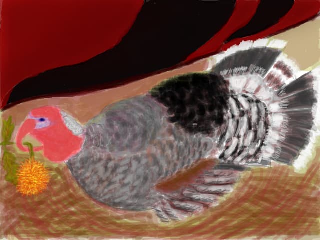 Crizantema