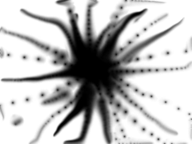 o gaura neagra