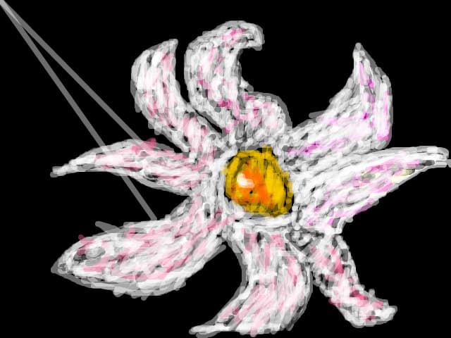 A Flower