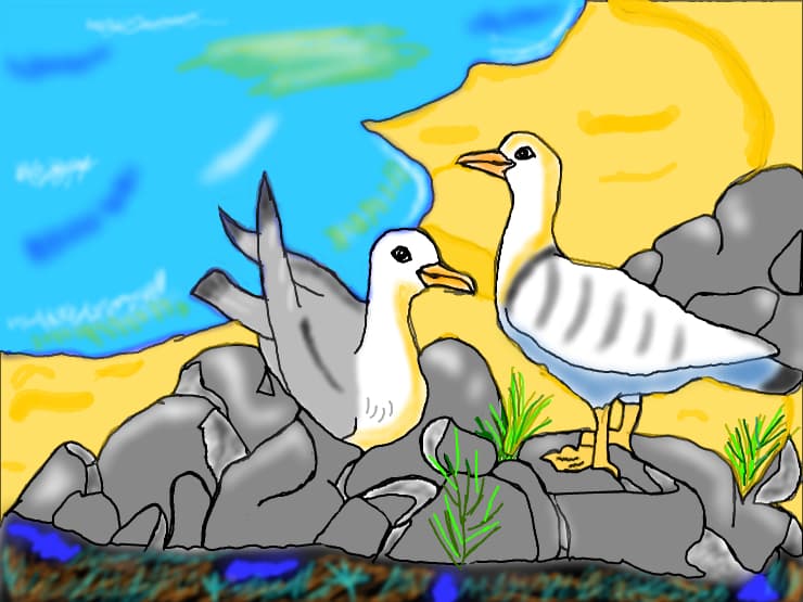 pescarusi