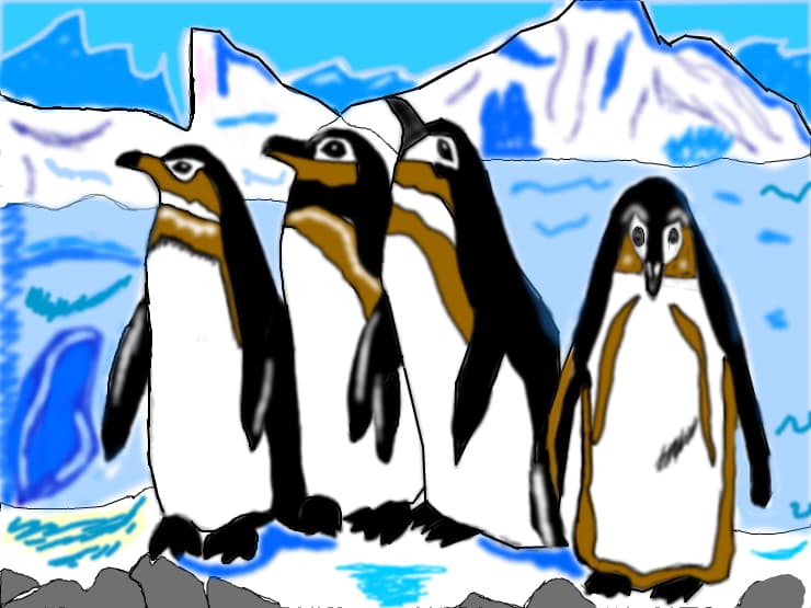 4 pinguini fff dragalashi