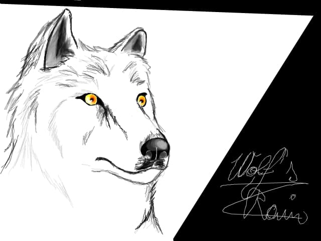 kiba