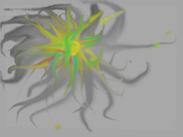 Colorit Ciudat