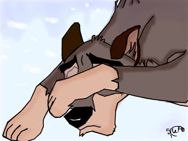 Balto-Heritage of the Wolf