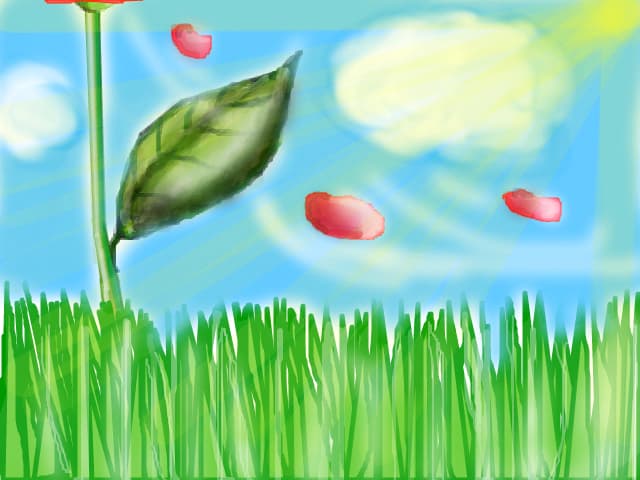 Nature :)