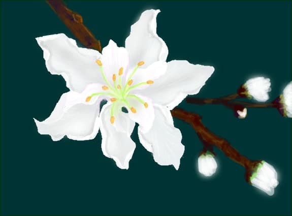 floare
