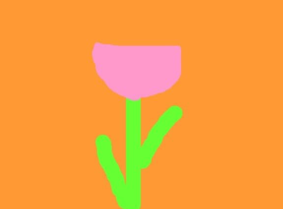 floarea roz