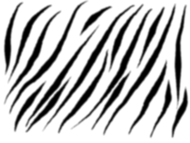 zebra paint