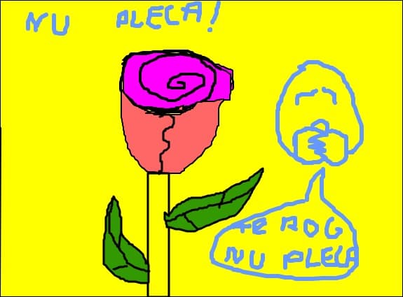 nu pleca