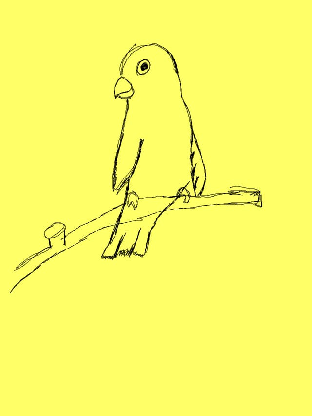 Un papagal