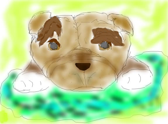 dog