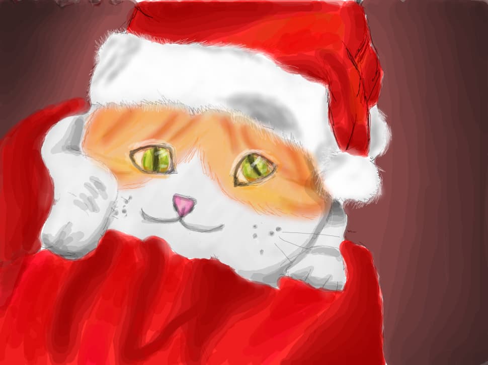 Merry Christmas , Puffy!!!