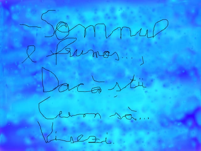 Somnul