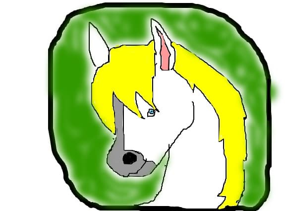 horse portret