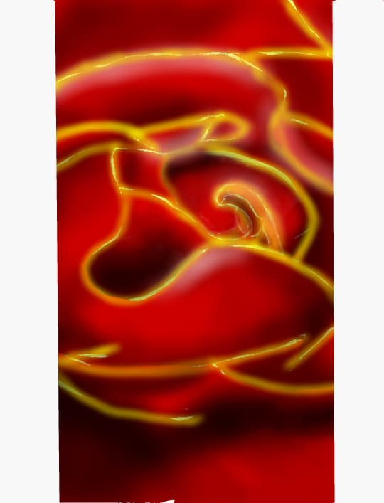 rose