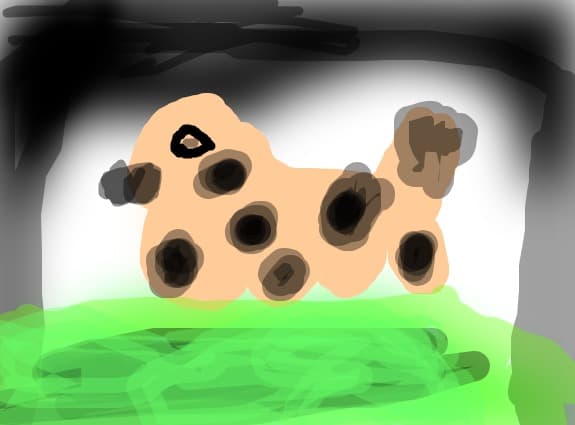 vaca