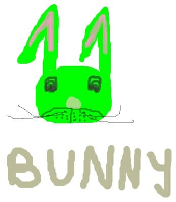 bunny