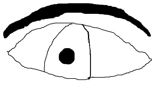eyes