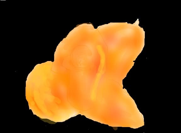 trandafir