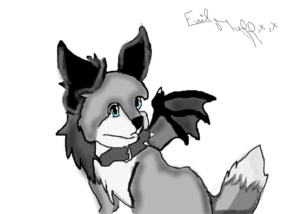 Caine lup ;x;x;x;x