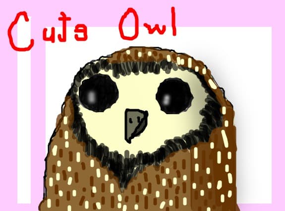 CuteOwl