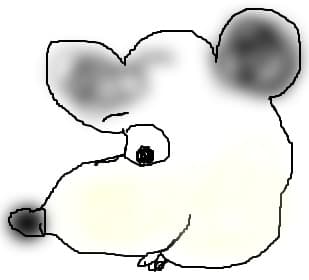 maimutoi