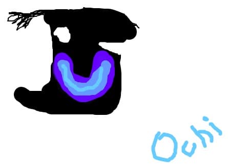 ochi