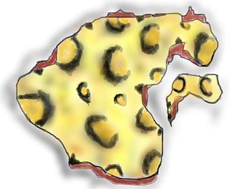 imitatie ghepard