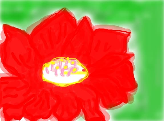 o floare draguta