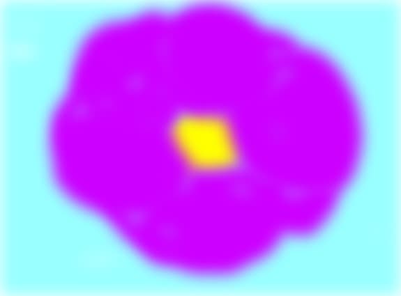floarea