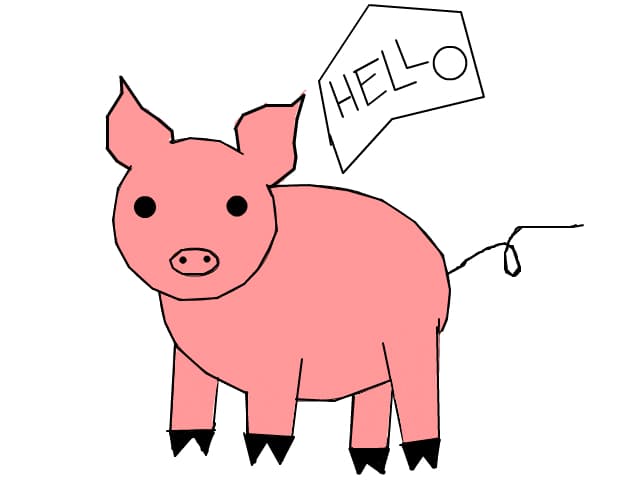 hello pig