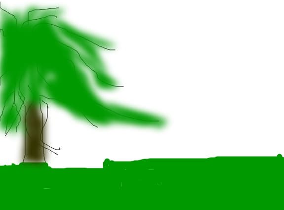 natura