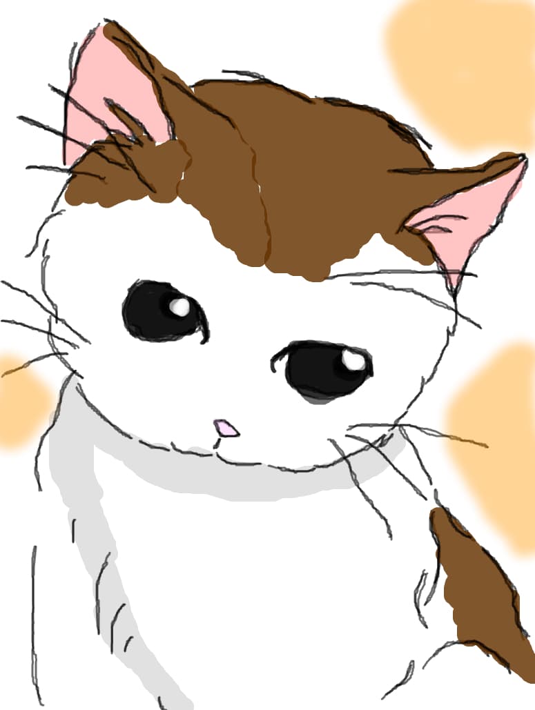 Pisi