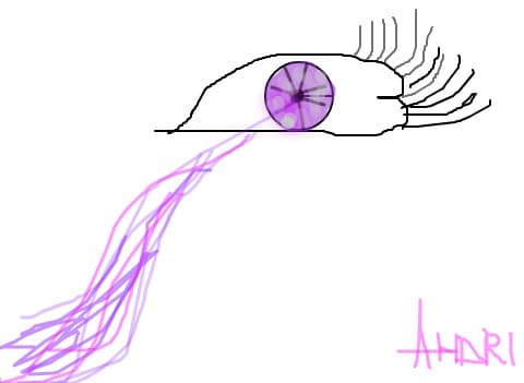 ochi