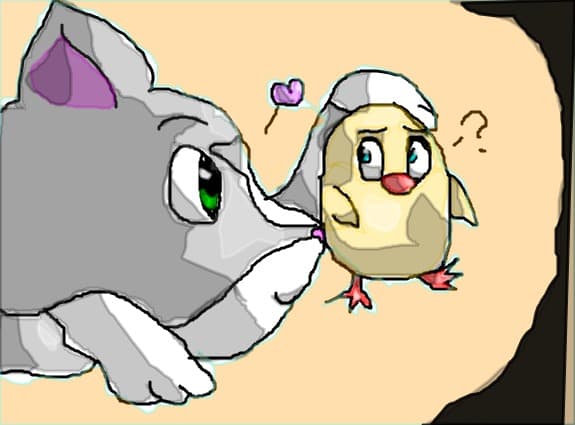 Cat love the chicken :x