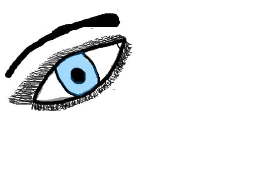 eye
